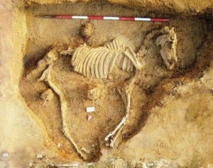Sepoltura di uno dei cavalli periti nella battaglia di Himera (480 a.C.)