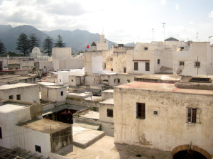  La medina di Tetuán, Una vista panoramica. (Olimpia Niglio, 2009)