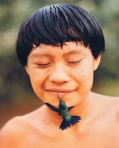 Yanomami-e-colibrì