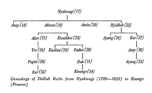 Genealogia-dei-reth-Shilluk-dallOttocento-ad-oggi-da-Arens-William-1979-The-Divine-Kingship-of-the-Shilluk.