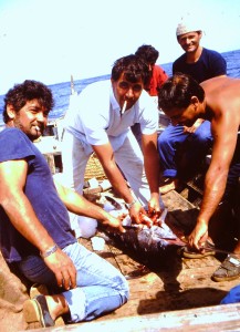 Lo sventramento di un Pescespada nella tonnara di Bonagia, anno 2001 (foto Ninni Ravazza)