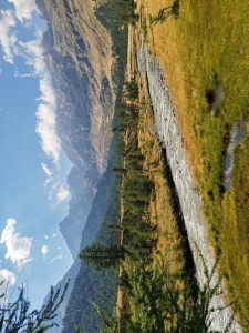 La piana dell'Alpe Veglia (VB) con i pascoli ingialliti già ad inizio agosto.
