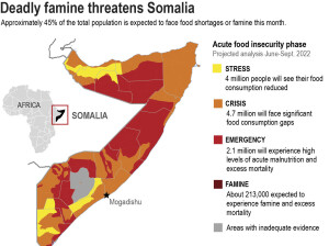 Somalia, Insicurezze alimentari (Fonte: Phil Holm AP)
