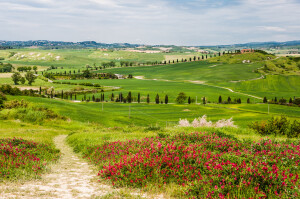 Il paesaggio culturale in Toscana: il Chianti e la Val d’Orcia 