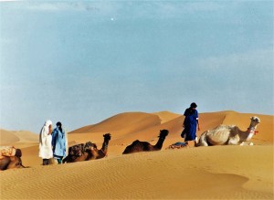 Sahara-Algerino-Grande-Erg-Occidentale