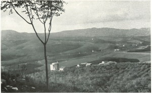 3-edoardo-caracciolo-borgo-gattuso-1941