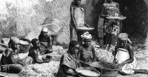 la-schiavitu-femminile-del-lavoro-degli-schiavi-africani-orseille-pulizia-incisione-su-legno-del-xix-secolo-alle-persone-le-donne-africane-africani-neri-africani-db3w98