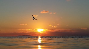 15-tramonto-sul-mare