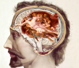 Historical picture of a human brain into the head. --Only Italy-- LaPresse --