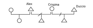 schema-tratto-da-solinas