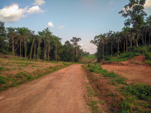 Pista di terra battuta nell’est della Sierra Leone, giugno 2017 (ph. Jacopo Lentini)