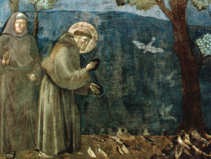 San Francesco, Giotto, 