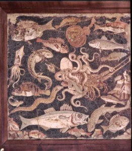  Mosaici pompeiani raffiguranti la fauna ittica, Napoli, Museo Nazionale