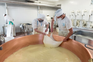 Lavorazione del latte (ph. Graziano Soravito per Ecomuseo delle Acque del Gemonese)