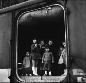 Salemi, Bambini nel carro merci, gennaio 1968 (ph. Nino Giaramidaro)