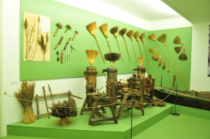 Ecomuseo di Villanova