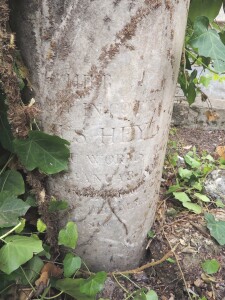 Monumento funebre di Julius Heyl nascosto dalla vegetazione, (ph. Laura Leto 2019)