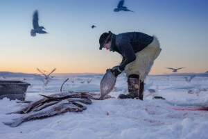 Pesca sul ghiaccio, attività di sussitenza tradizionali